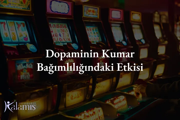 Dopaminin Kumar Bağımlılığındaki Etkisi